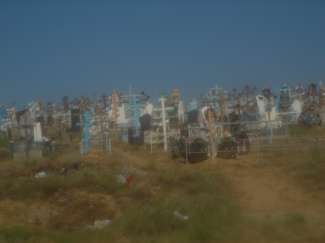 DSC08849.JPG